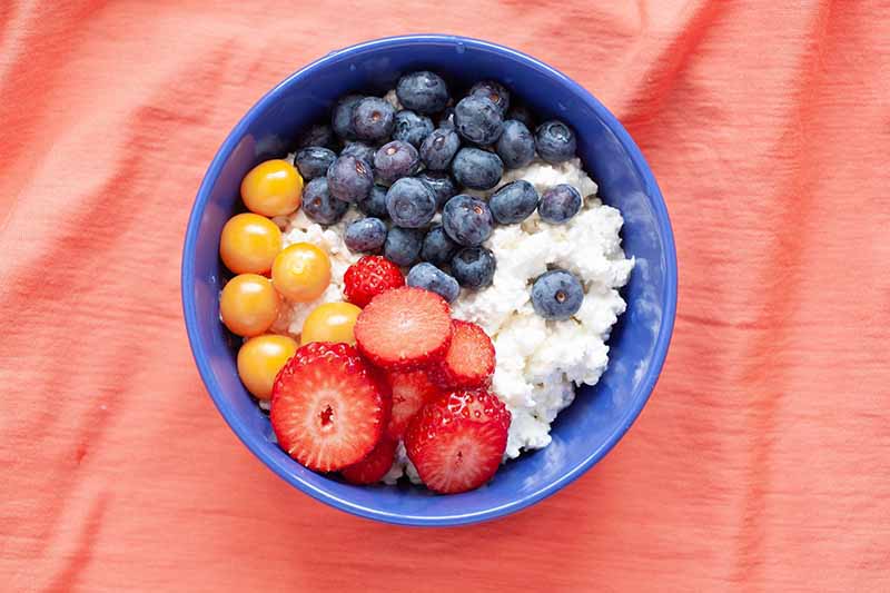 Cottage cheese with fruits in a bowl