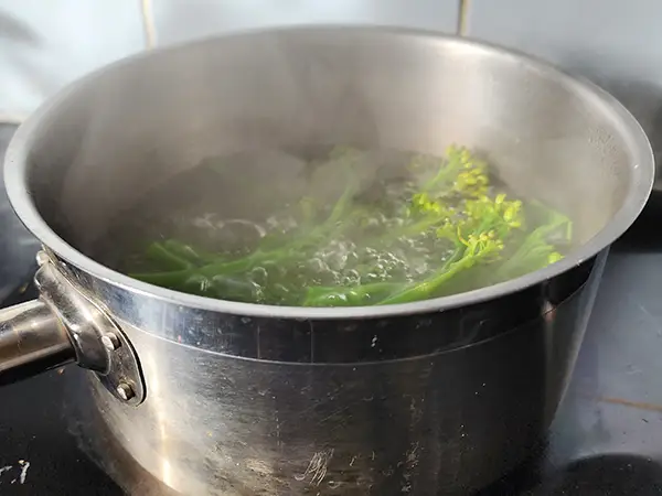Boling tenderstem broccoli