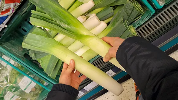 how to select a leek