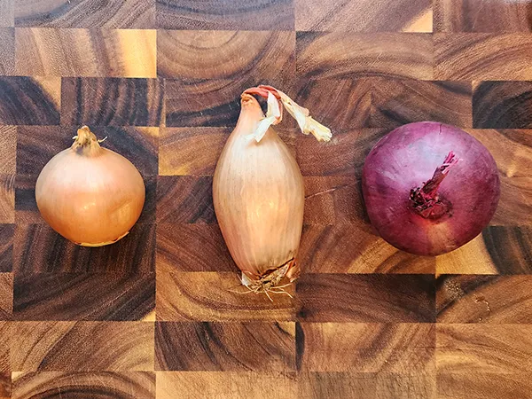 Three different types of onion on the wooden board