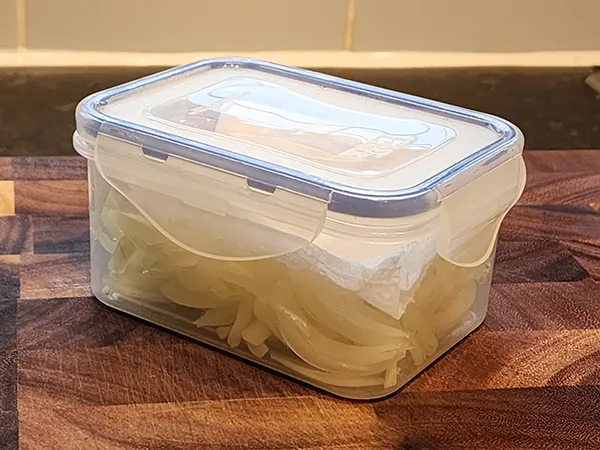 Sliced onions in the airtight container