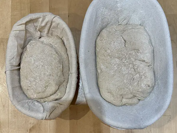 Sourdough bread in the proofing baskets