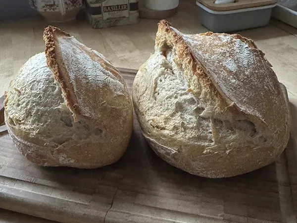 Sourdough bread